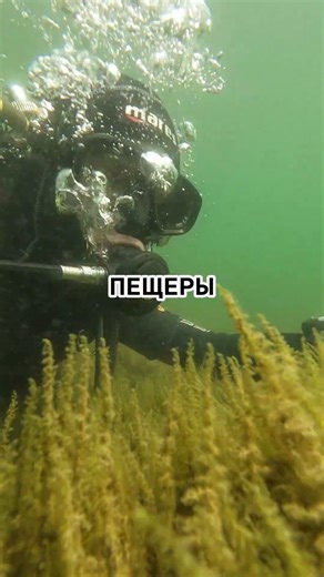 What's the point of diving? 🤿 #diving #aksenovscubadiving