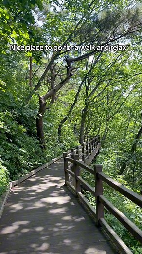 Nice place to go for a walk and relax #nature #relaxing #reels | Pai Kang