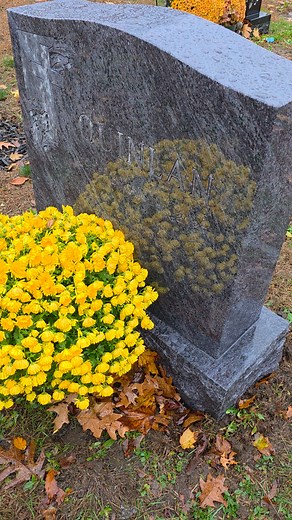 ❤️ | John J. Quinlan