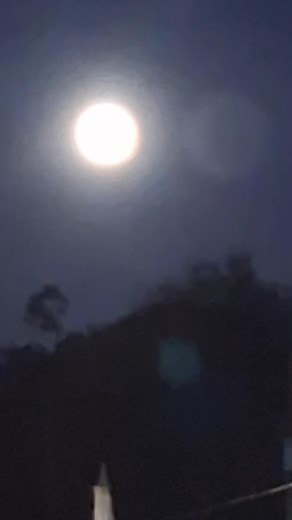 Holloway's Funeral Home on Reels