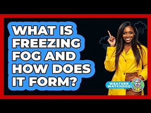What Is Freezing Fog And How Does It Form? - Weather Watchdog