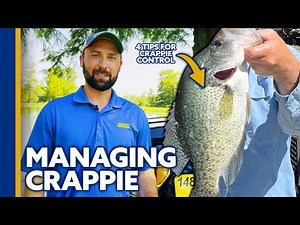 Managing Crappie in Ponds and Lakes: Fishery Management Advice