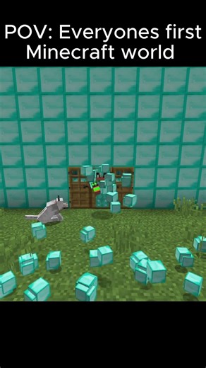 POV: Everyone's first Minecraft world