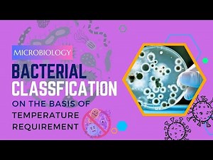 Bacterial Classification Based on Temperature Requirements: Understanding Microbial Adaptations