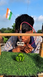 293K views · 1.6K reactions | In this video you can see mini chilli...