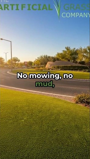 Artificial turf - Commercial applications