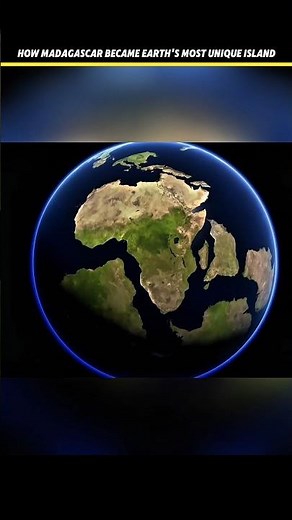 Why Madagascar Has Animals Found Nowhere Else on Earth ! #shorts #facts #amazingfacts