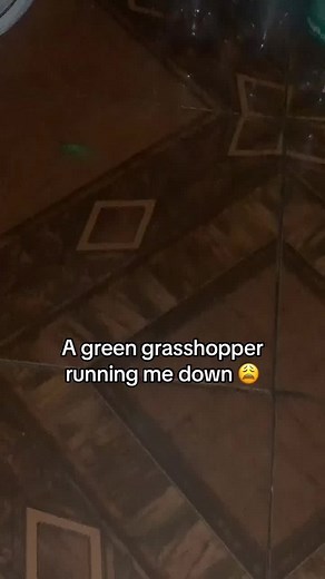 pika (@pika_pikks)’s videos with original sound - pika