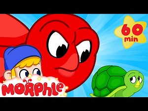Morphle the Turtle - Cartoons for Kids | My Magic Pet Morphle - Videos For Kids