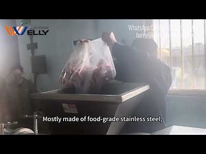 Poultry Fish Fruits Separation Demo – Meat-Bone Separator#separator #meatmachine