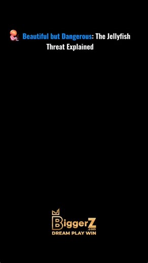 Trendingsociety on Instagram: "The octopus isn’t just strange—it’s extraordinary. With three hearts (one that stops while swimming), blue blood designed for deep oceans, and the ability to change color and texture in seconds, this creature feels almost alien. Add problem-solving skills, tool use, and escape-artist intelligence, and the octopus becomes one of the most fascinating animals on Earth. Nature’s true underwater genius. 🌊✨ @biggerz #biggerz #engaged #engagement #didyouknow #knowledge"