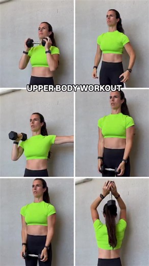 402 reactions · 120 shares | Upper body workout  Comment LIFT below for a free week of workouts! ✅12-15 reps, 3x #workoutprogram #dumbbellworkoutwt | Elise's Body Shop | Facebook
