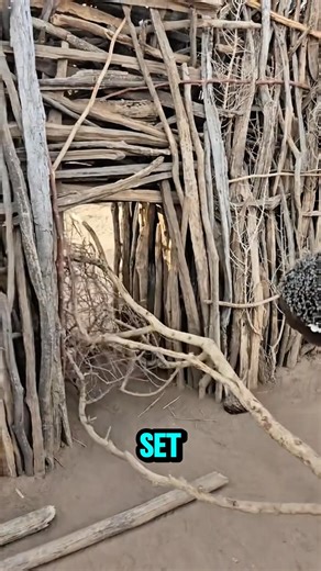 No Door… Just This Powerful Lock System! 😳 #shorts #africa #innovation #security #viral