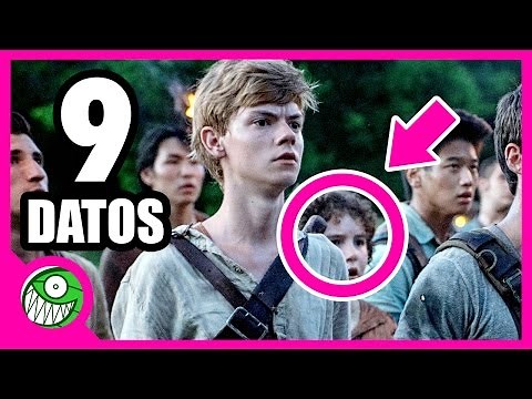 9 curiosidades sobre MAZE RUNNER: CORRER O MORIR