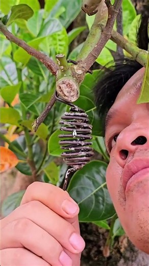 Why is he putting the queen bee in that cage?