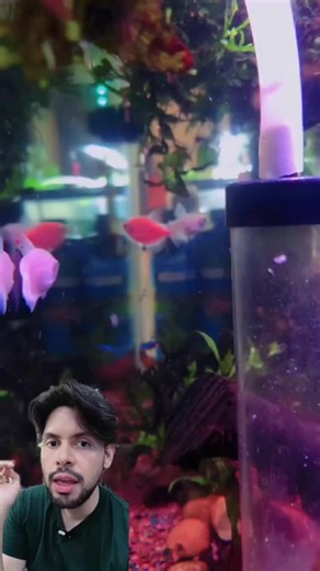 Sifón 🇵🇾 Whatsapp 0971965022