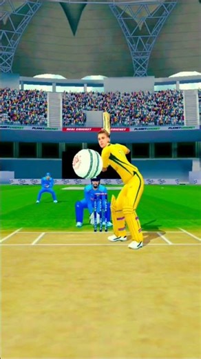 Real cricket Game