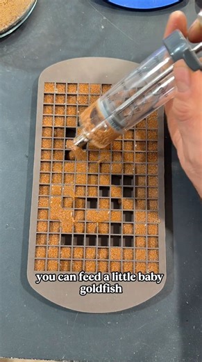 Harvesting millions of brine shrimp for fish food