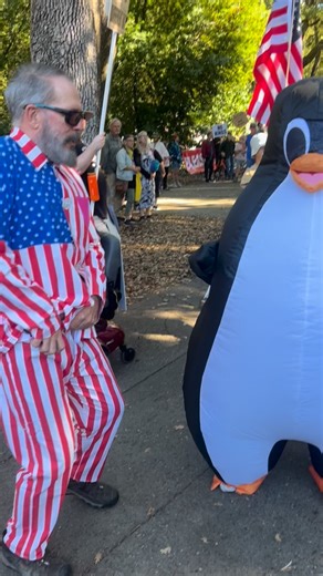 112 reactions · 4 comments | some people like the chicken dance, I prefer the funky penguin dance! #nokings | Mark Vogler | Facebook