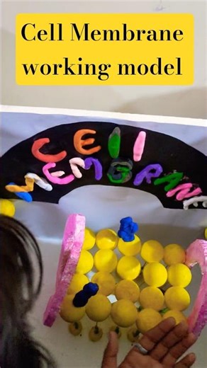 Cell membrane Working model #project #trending #science #shorts #cell