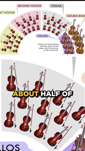 Where do violas fit on stage in a symphony orchestra?🤔 Visit our CincySymphony YouTube channel to watch our Behind the Stand music education series! #cincinnati #classicalmusic #entertainment #music #musiceducation