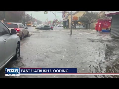 Rainfall causes flooding in NYC; Hochul declares state emergency over SNAP freeze | News Block
