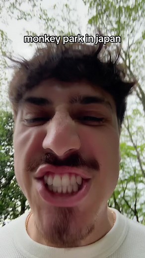 Exploring the Monkey Park: An Adventurous Hike