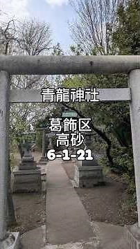 『神秘的パワー溢れ蜂、モンシロチョウ、白黒アゲハ蝶が舞う』#神社 #神社参拝 #今日から開運 #開運上昇 #金運上昇 #スピリチュアル