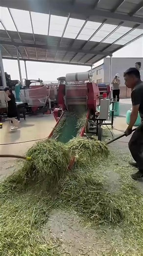 High-Speed Hay Baling in Action #HayBalingMachine #FarmEfficiency #ModernAgriculture | Katie's Soles