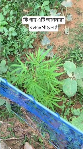 ❤️❤️❤️❤️#shorts #trending #reels