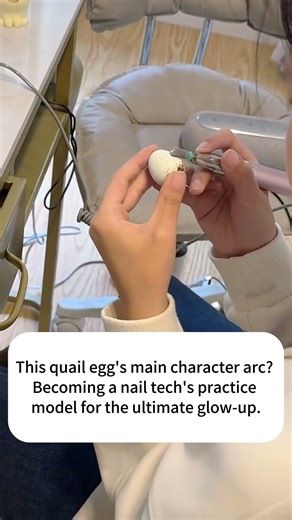 Giving Quail Eggs a Glow-Up ✨