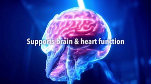 Dr. Robaina Methylene Blue 1% USP Grade Liquid Supplement – Focus & Mental Clarity Support Drops – Pharmaceutical-Grade Nootropic – 2 fl oz (59 ml) Glass Dropper – Made in USA