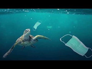 Proyecto integrador , módulo 15 agente verde.