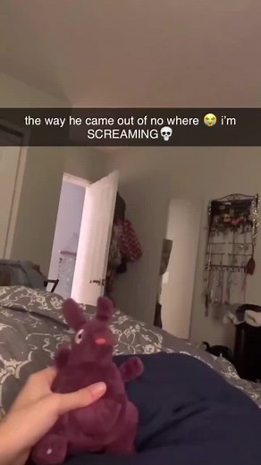 I am screaming#dogs #dog #puppy #doglover #dogsofttiktok #cats #pets #cat #petsoftiktok #catsoftiktok #doggo #puppy #doglife