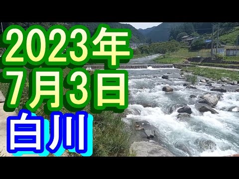鮎釣り 30㎝高引水残り垢 赤川黒川出会から1Ｋ上流 JC最上流吊り橋上 宮代橋上 白川 2023年