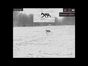 Agm Varmint LRF Ts35-384