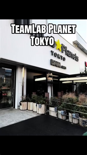 Discovering TeamLab Planet: A Somatic Experience in Tokyo