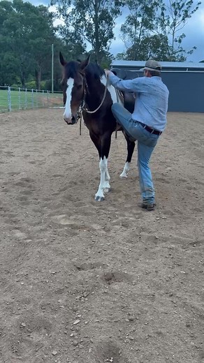 19K views · 54 reactions | PREBIDDING IS OPEN! Click the link below...