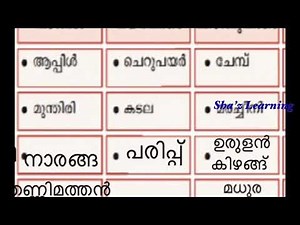 EVS WORKSHEET STD 3 28 October 2020