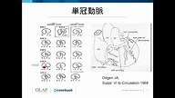 Anatomy(南都 伸介 先生) | OLAP(Online video library for cardiac physician)