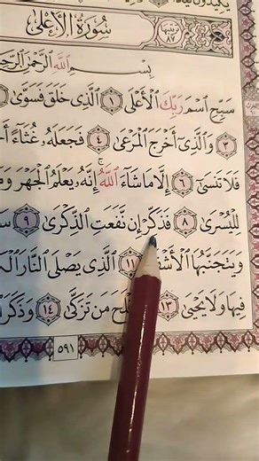Write something that will earn you reward ❤️😴 #quran #humble_recitation #peace_of_mind #Maher_Alm...