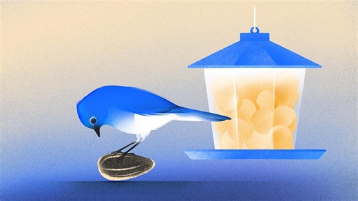 Seed Funding Hasn’t Stalled, But It’s Skewing Larger And Is More Competitive Than Ever, Crunchbase Data Shows