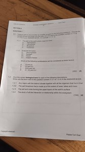 Section AQuestion 11.1 Various options are provided as possi... | Filo