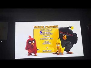 Review of The Angry Birds Movie 2016 DVD