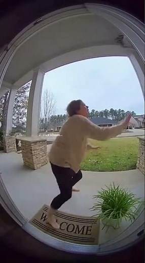 Front Porch Cam Catches Hawk Taking a Cat