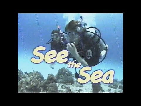 Sea the Sea: "The Grouper and his Friends" (rare, 2008)