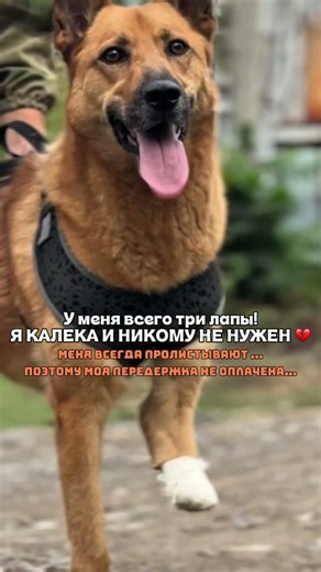 💔 Пожалуйста, не дайте мне снова оказаться на улице…