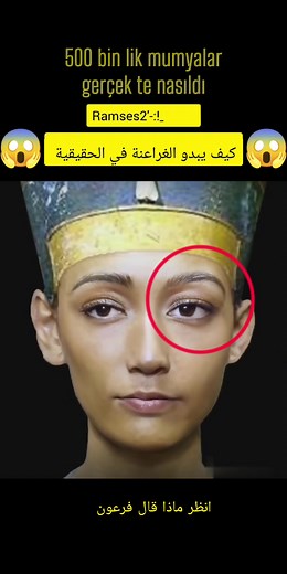 ‏#egpyt #sudiarabia🇸🇦