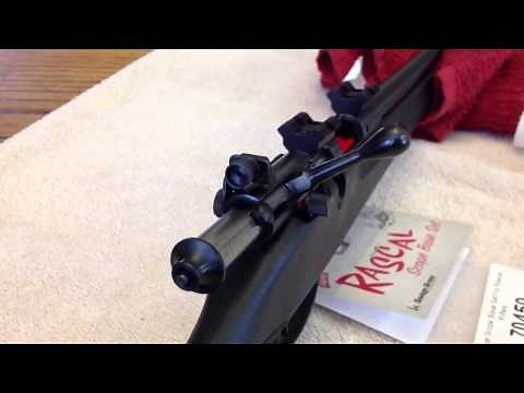 Savage Rascal Factory Scope Mount