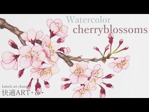 【メイキング】水彩で簡単リアルに桜を描く🌸 【watercolor】 realistic cherryblossom